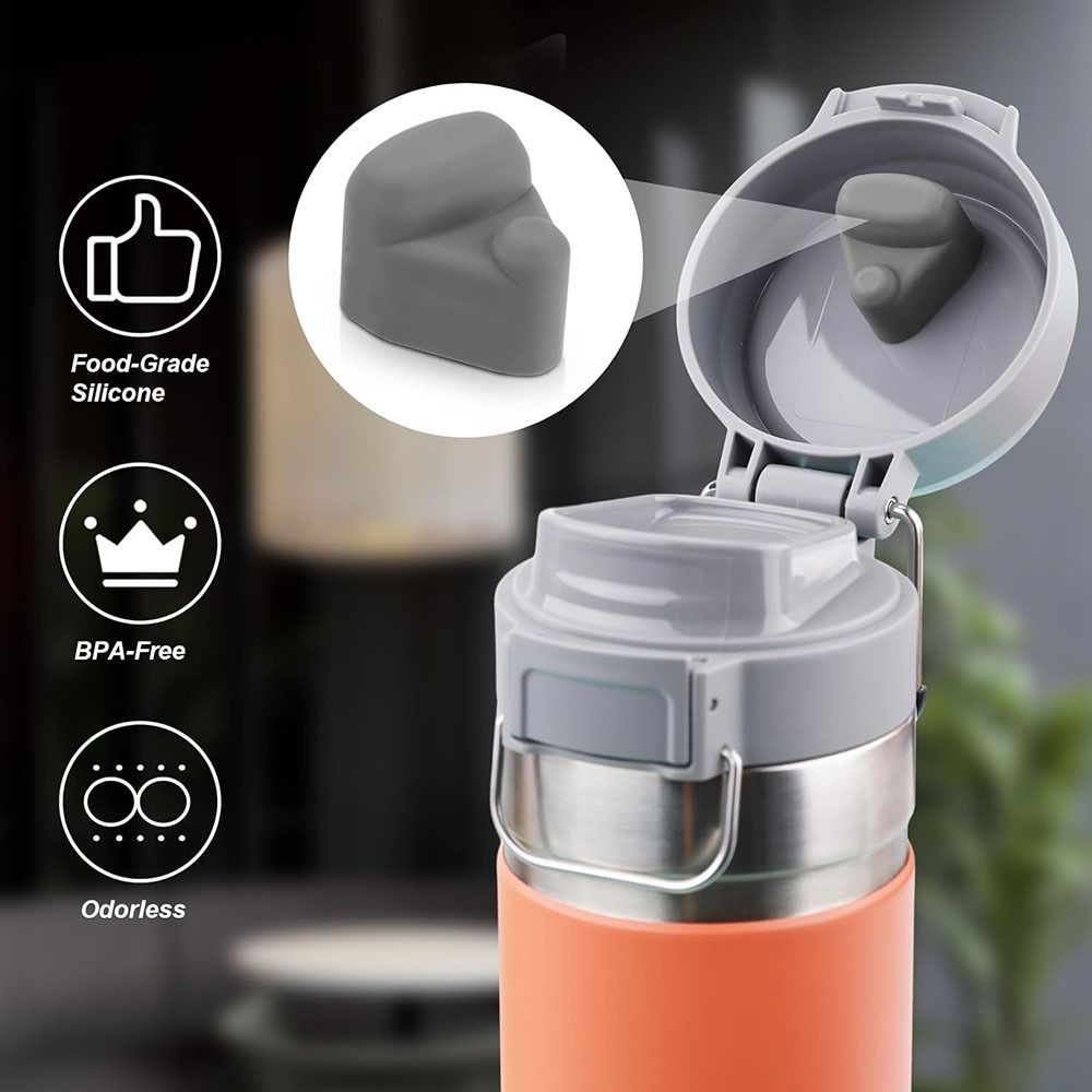 Prevent Leaks Water Bottle Gas – Hand Plane Stanley Bewertung und Preis